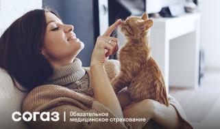Стоматология не по зубам?